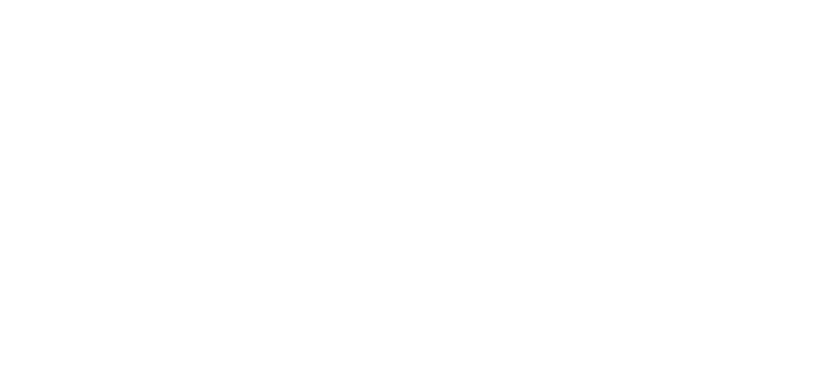 Wildest Kruger Safaris